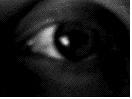 eye.gif (86794 bytes)