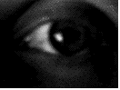 eye.gif (86794 bytes)