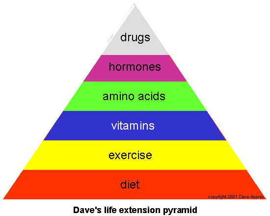 pyramid.jpg (20179 bytes)