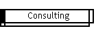 Consulting